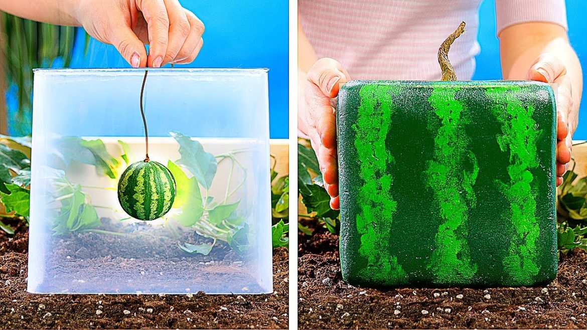21 AMAZING PLANTS IDEAS || DIY Gardening Tricks You Should Know
