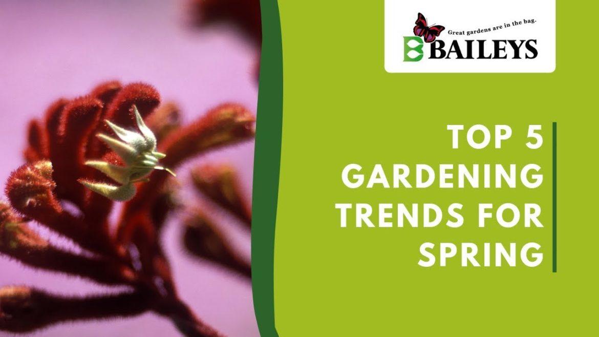 Top 5 Gardening Trends For Spring Top 5 Gardening Trends For Spring