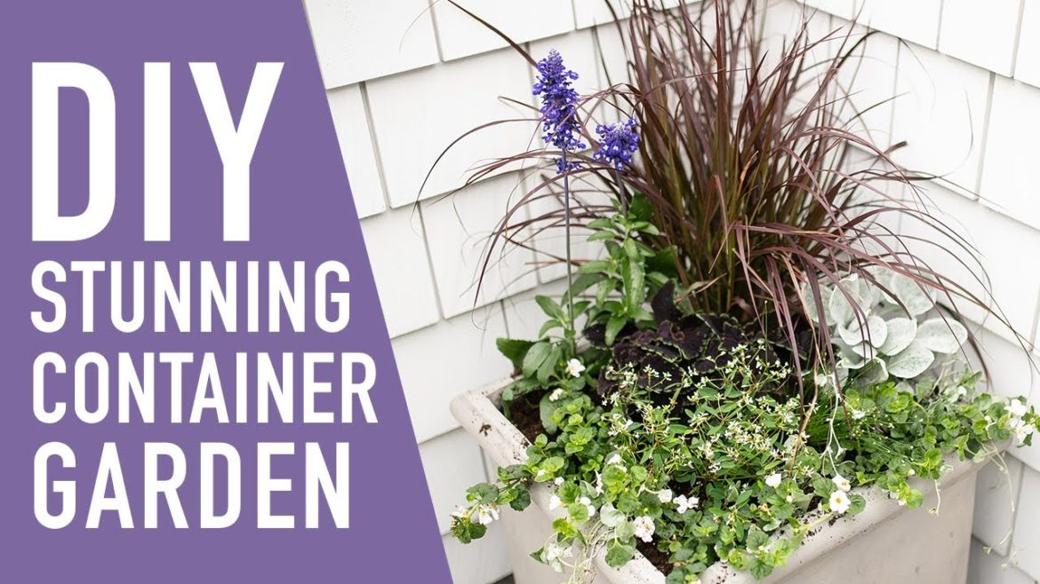 How to Create a Stunning Container Garden 🌞 || West Coast Gardens
