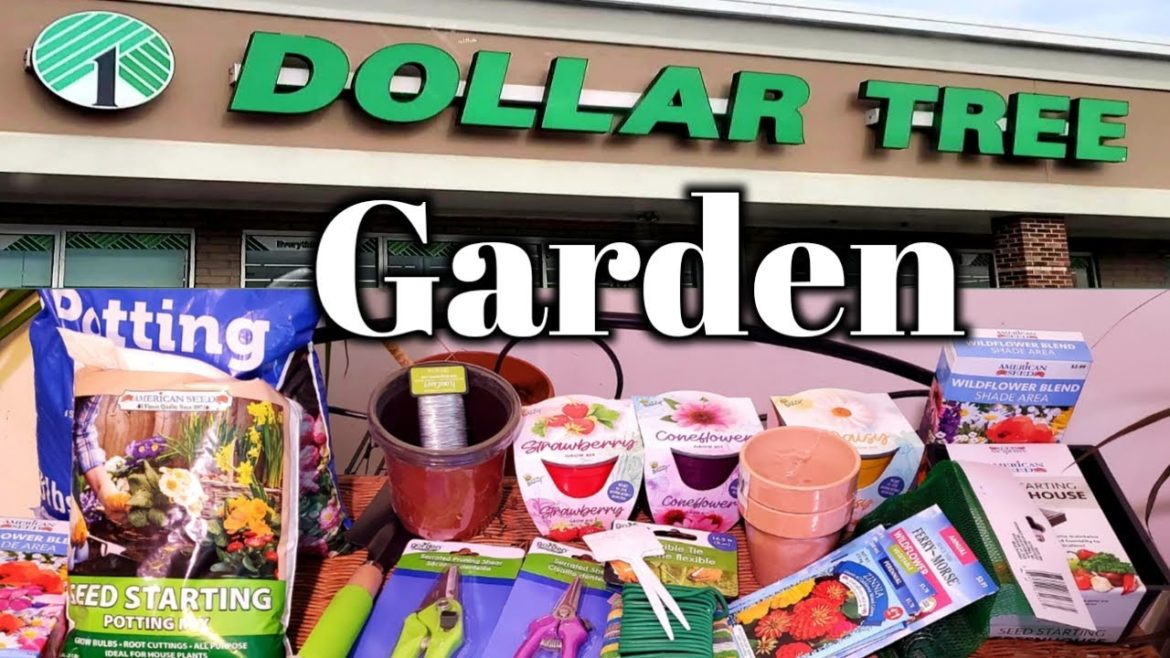 Dollar Tree Budget Gardening-Grow A $20 Garden