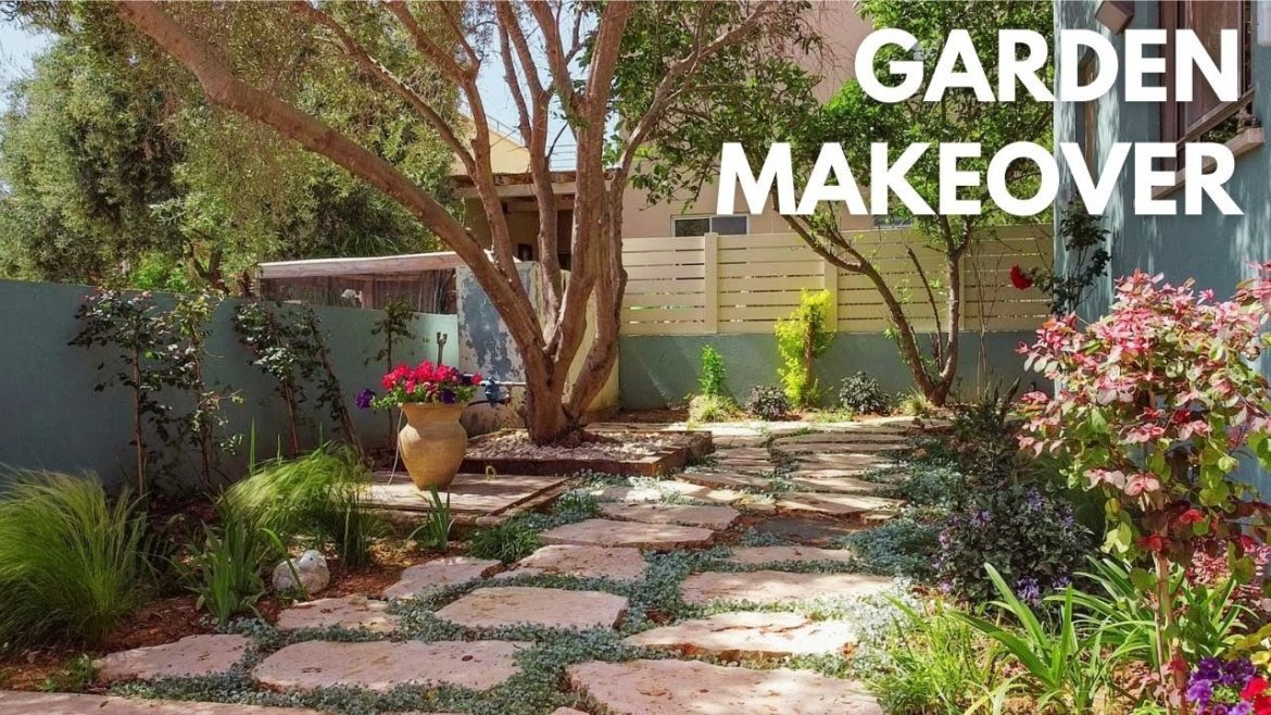 Garden Renovation - Complete Makeover