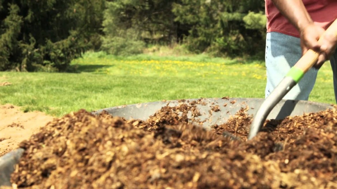 Amending Soil for Vegetable Gardening | Troy-Bilt®