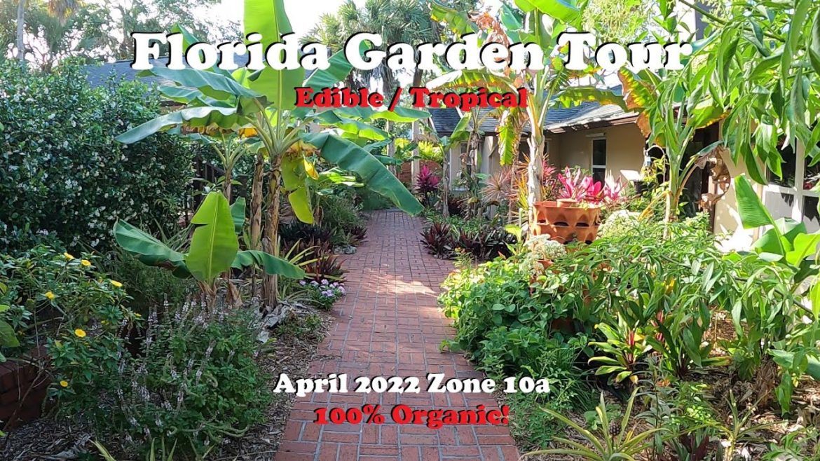 Florida Organic Edible / Tropical Garden Tour | April Zone 10a