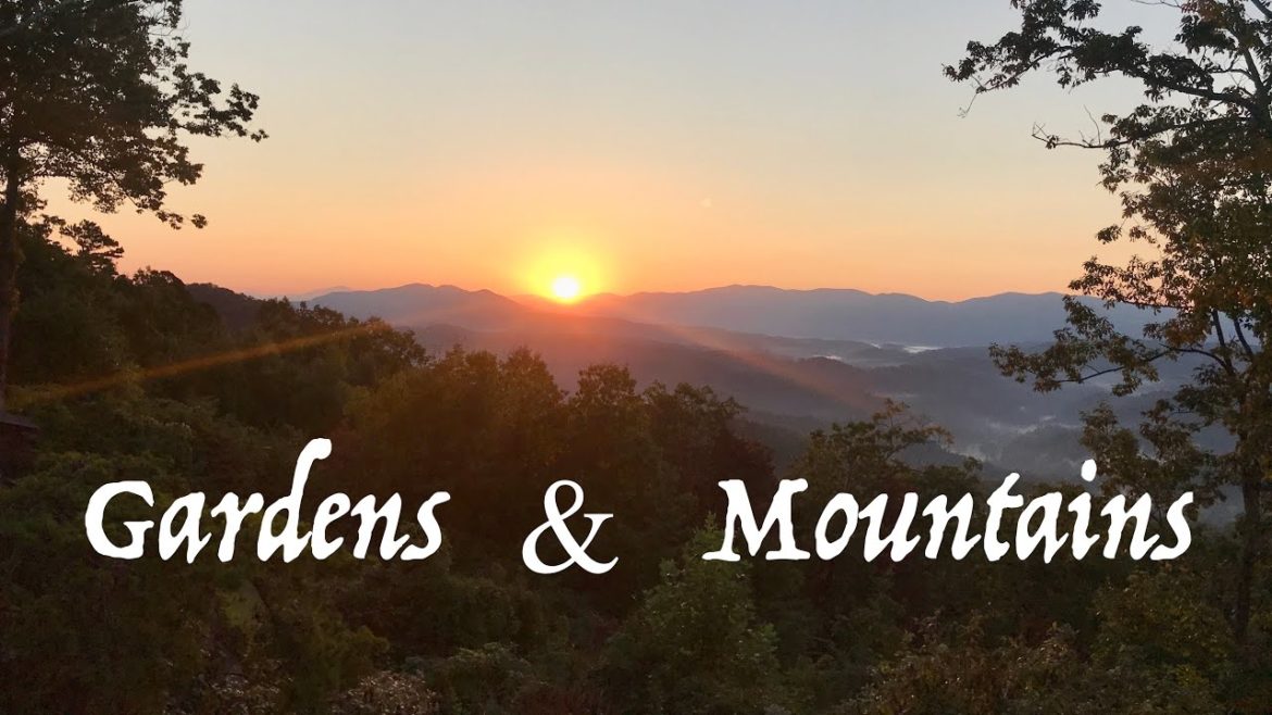 GARDEN TIPS from the MOUNTAINS GARDEN TIPS from the MOUNTAINS