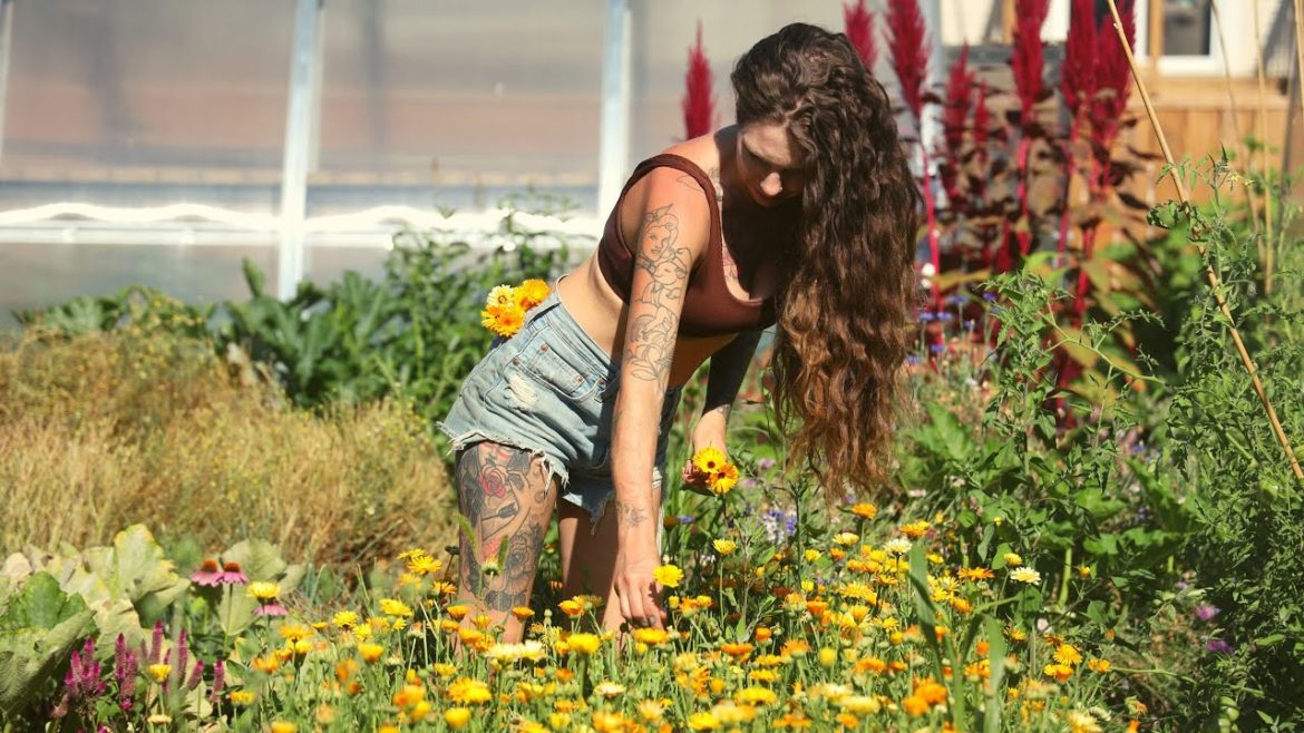 π± Self Sufficiency in an Urban Backyard Garden (Tour)π©βπΎ π± Self Sufficiency in an Urban Backyard Garden (Tour)π©βπΎ