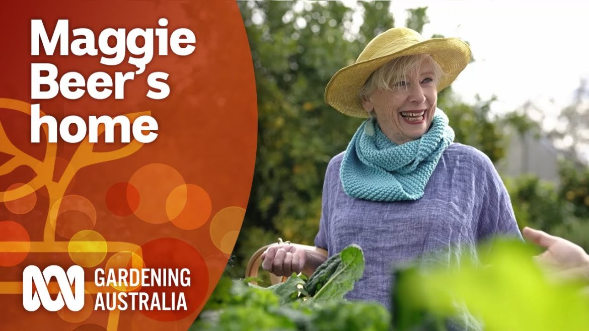 Touring Maggie Beer's home and edible garden | Garden Design and Inspiration | Gardening Australia Touring Maggie Beer's home and edible garden | Garden Design and Inspiration | Gardening Australia
