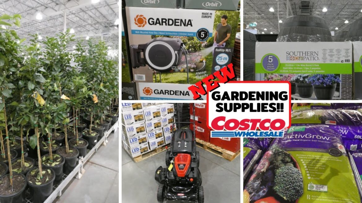 NEW Gardening Supplies at Costco! | Bulbs | Plants & Flowers | Tools, & More!!
