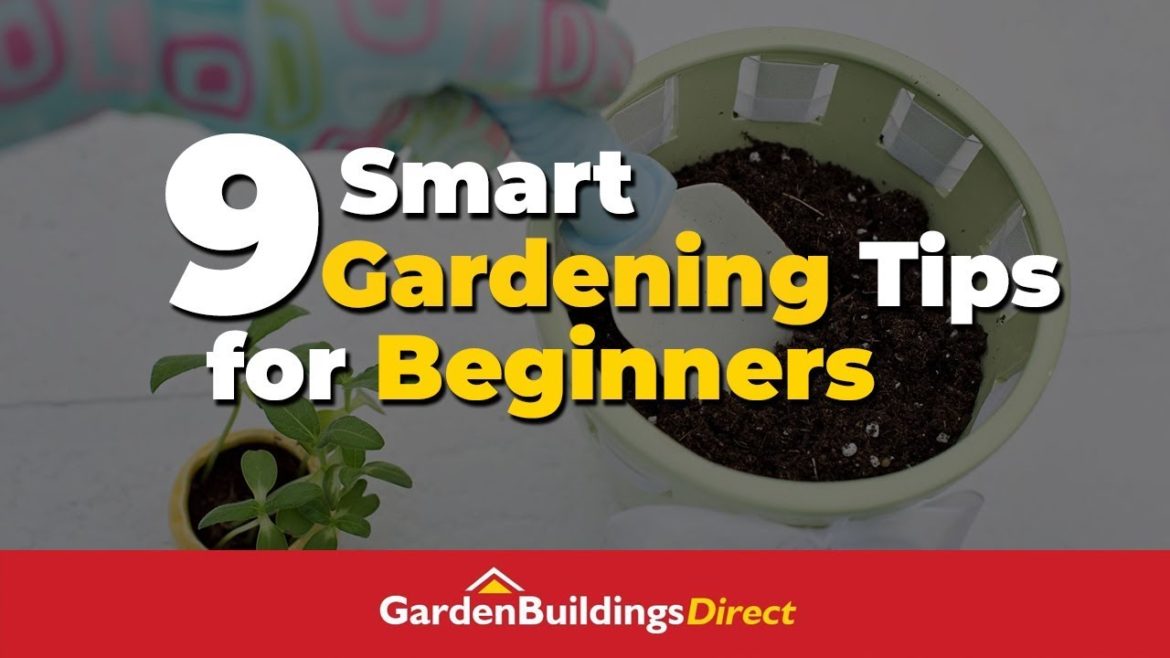 9 Smart Gardening Tips for Beginners - The Basics Of Gardening
