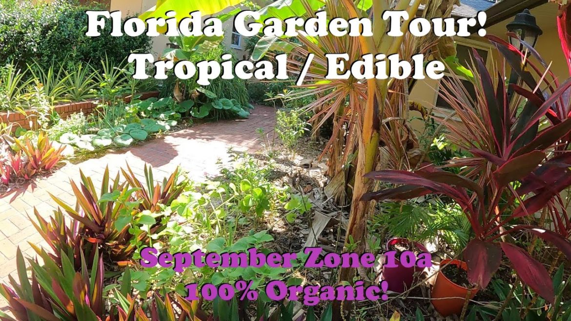 Florida Organic Tropical / Edible Garden Tour | Zone 10a September