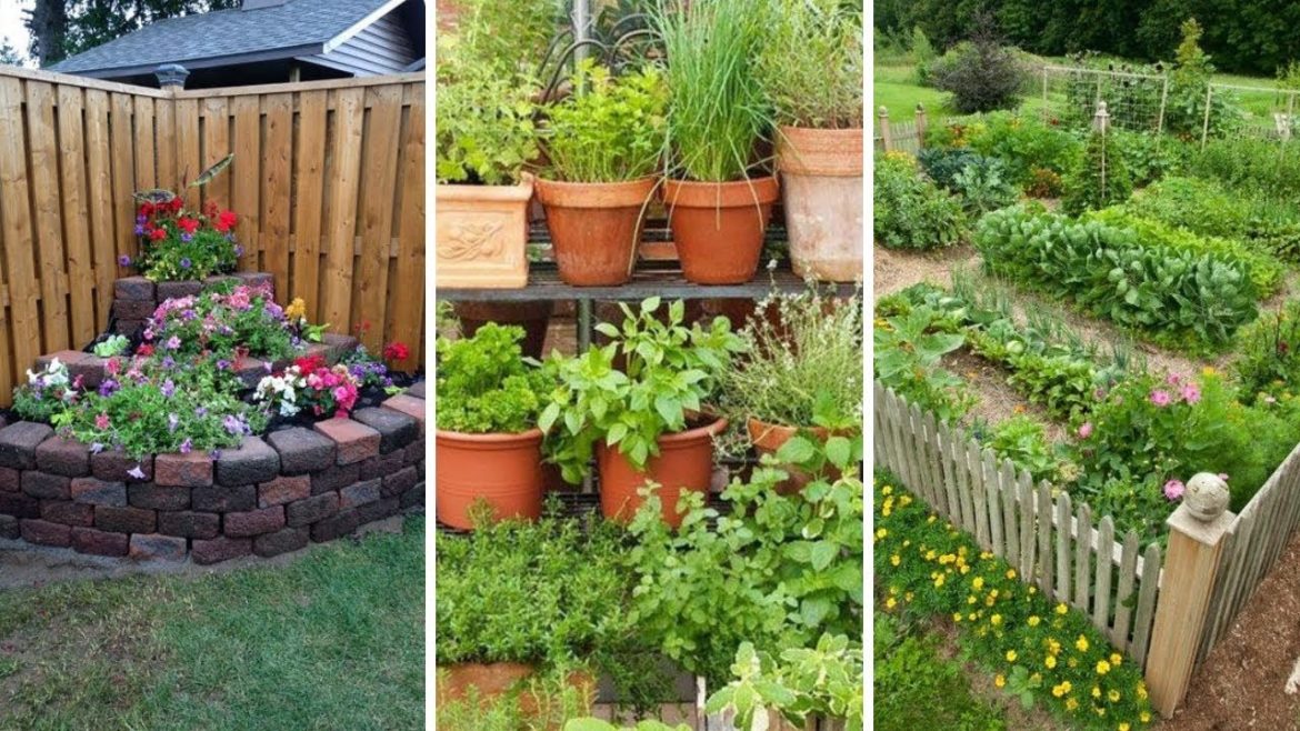 10 Backyard Vegetable Garden ideas 10 Backyard Vegetable Garden ideas