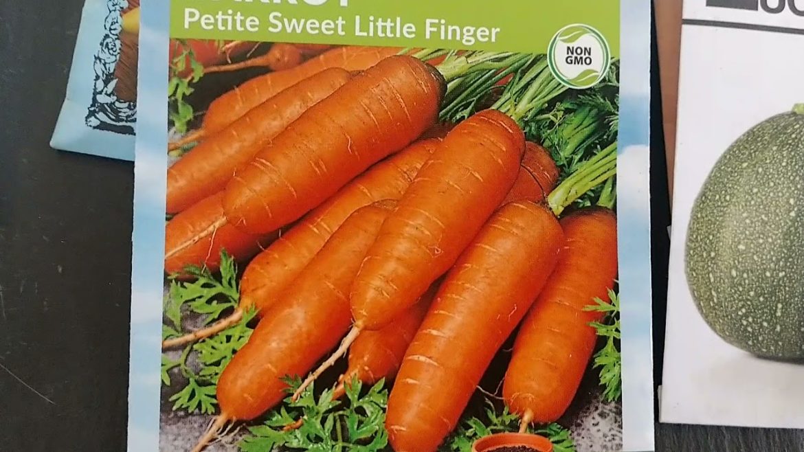 Our Urban Garden Plans 2021 ! Our Urban Garden Plans 2021 !