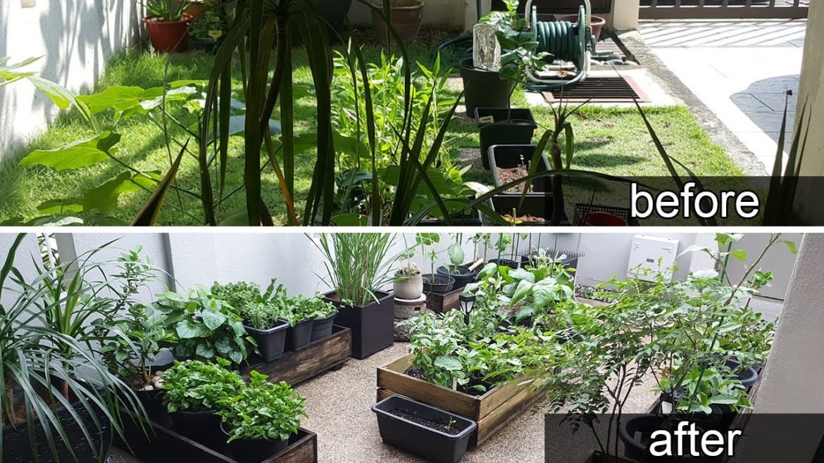 MY EDIBLE GARDEN | Garden Tour | Small garden | Malaysia