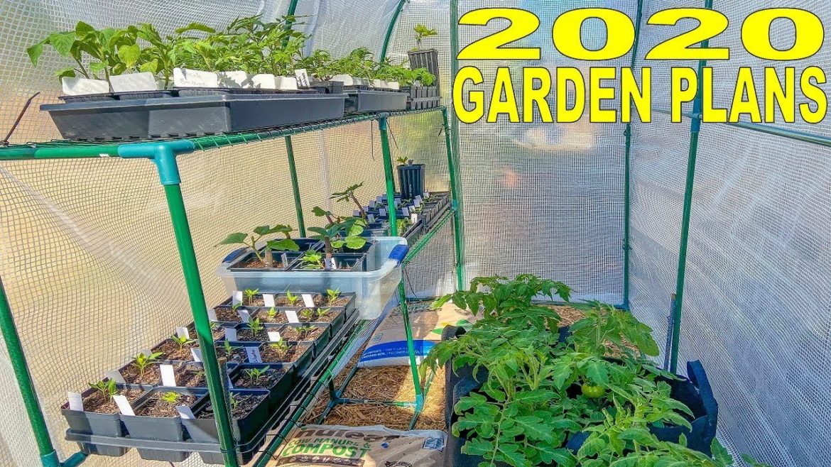 My 2020 Garden Plans: Tomatoes, Peppers, Figs, Berries And More!