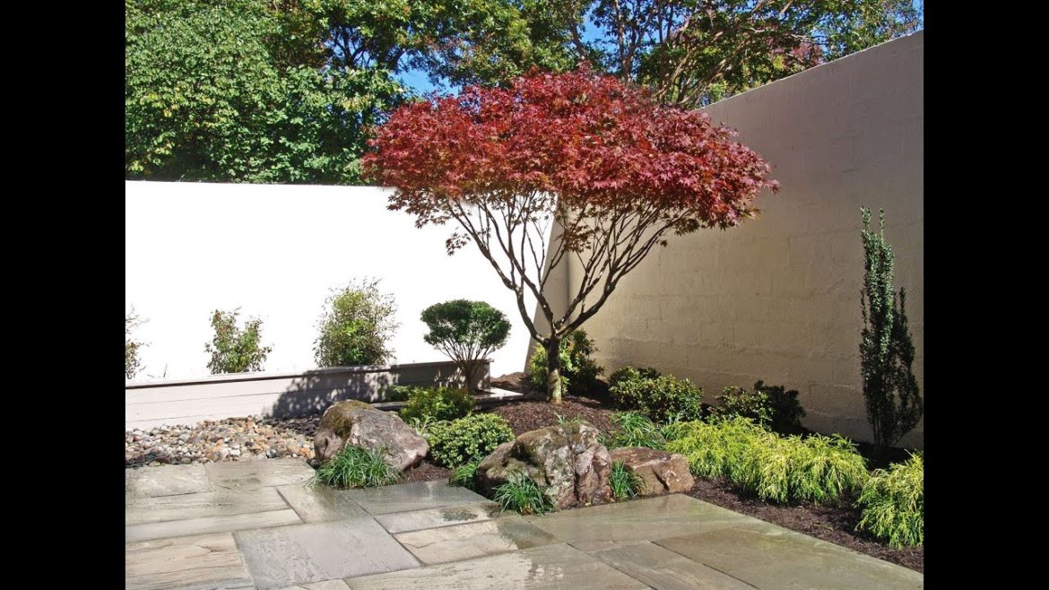 Japanese Garden “Before & After” Vol 2 . Lee's Oriental Landscape Art Japanese Garden "Before & After" Vol 2 . Lee's Oriental Landscape Art