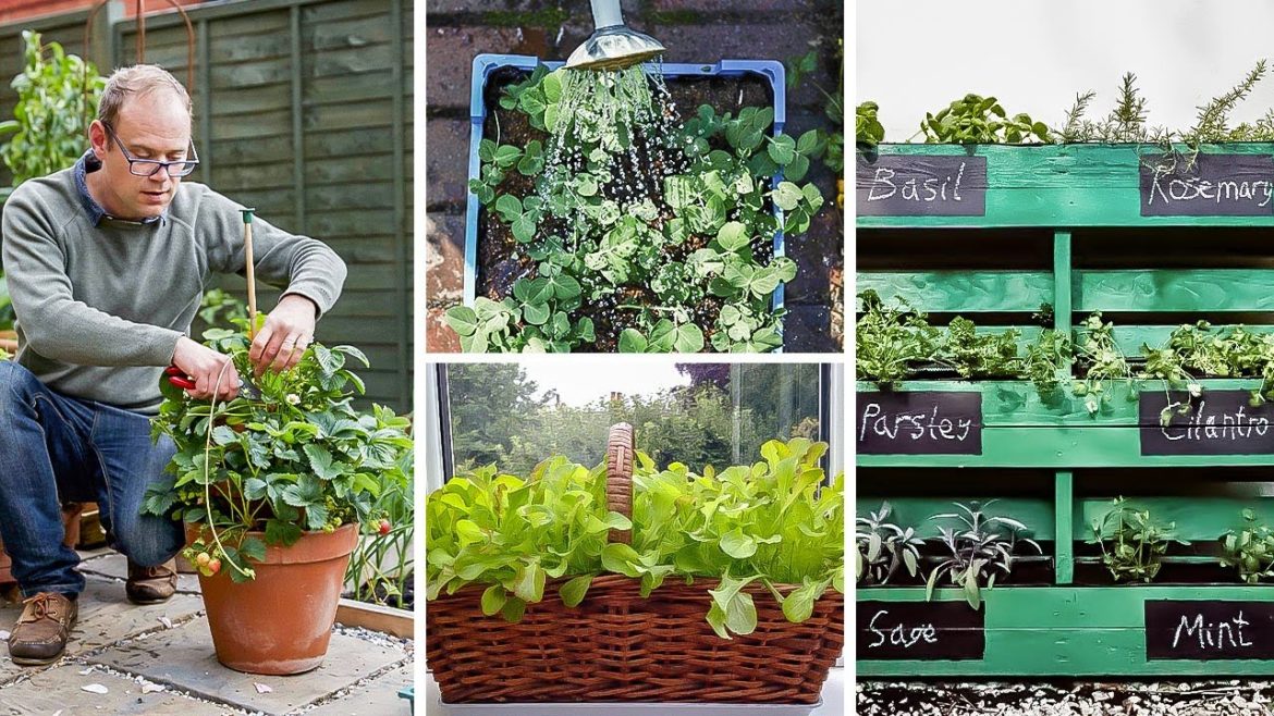 Clever Ways to Grow in Small Spaces: Container Vegetable Gardening for Beginners Clever Ways to Grow in Small Spaces: Container Vegetable Gardening for Beginners