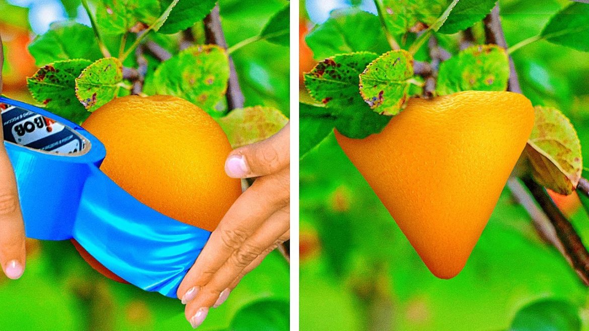 OUTSTANDING PLANTING TIPS ANY GARDENER WILL LOVE TO KNOW OUTSTANDING PLANTING TIPS ANY GARDENER WILL LOVE TO KNOW