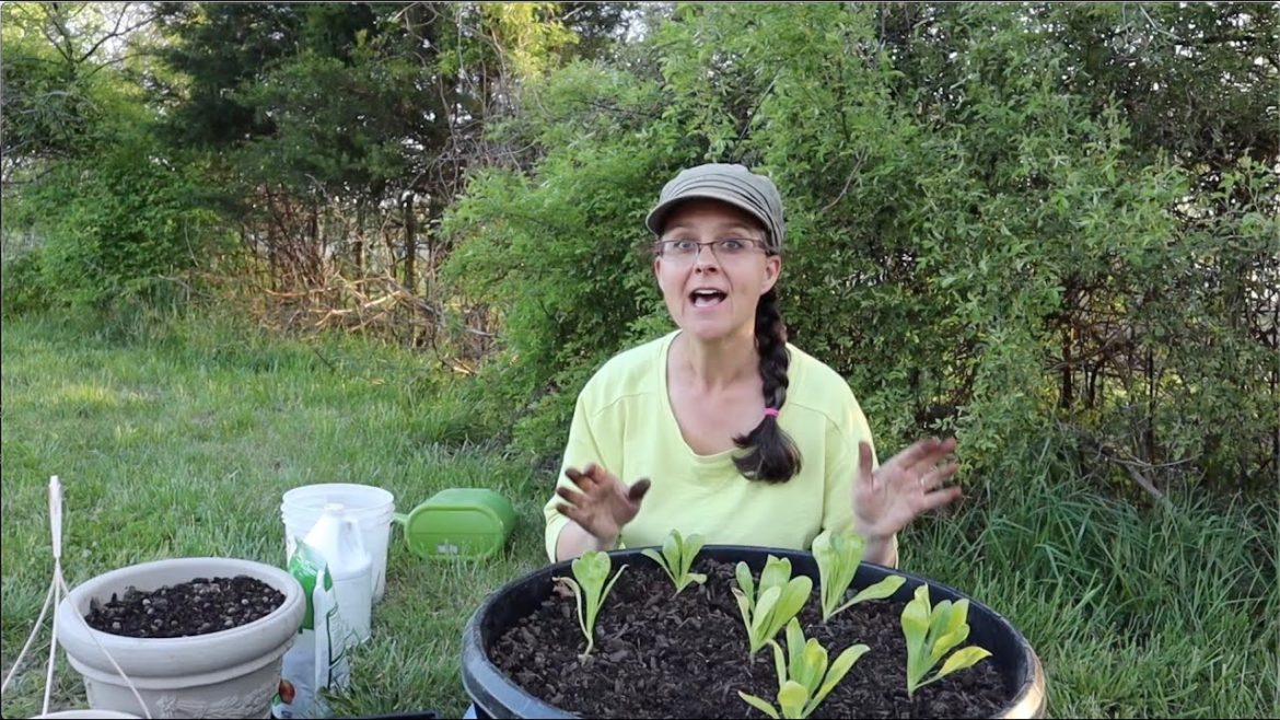 No ROOM for a GARDEN?? No PROBLEM!!  Grow a Container Garden!