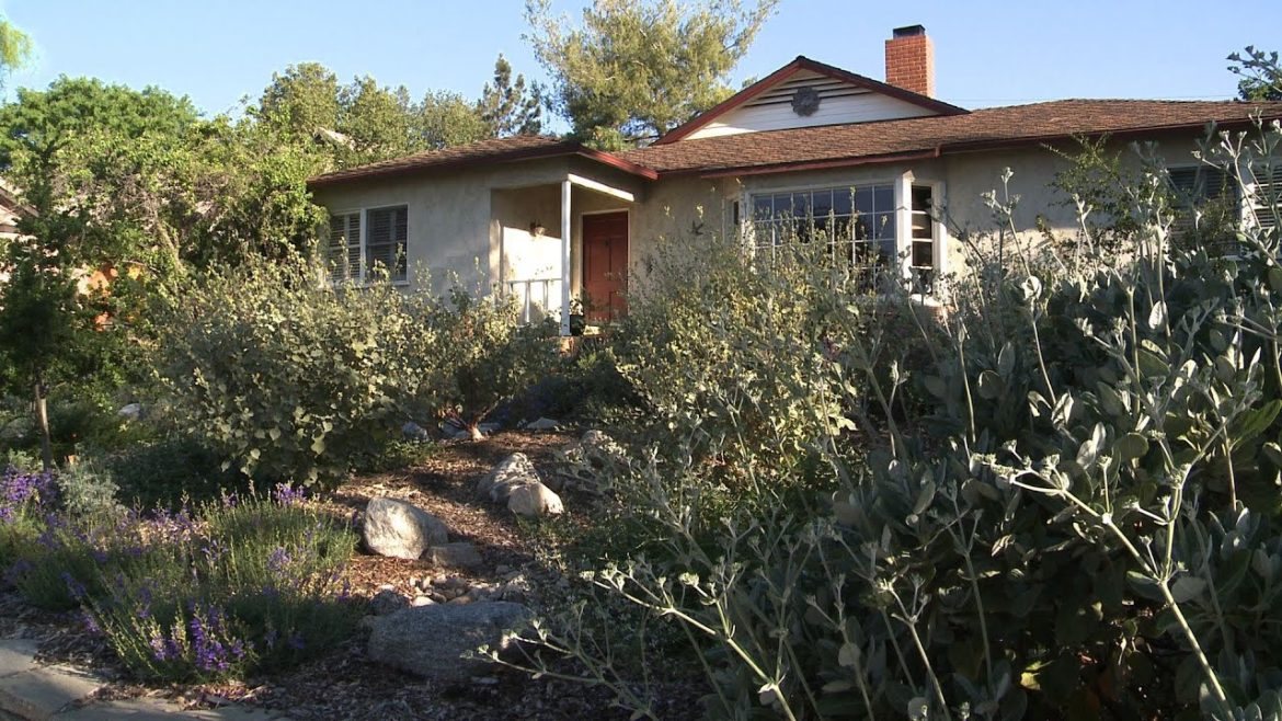 Native Garden Design Elements - California Native Garden - Ep.4