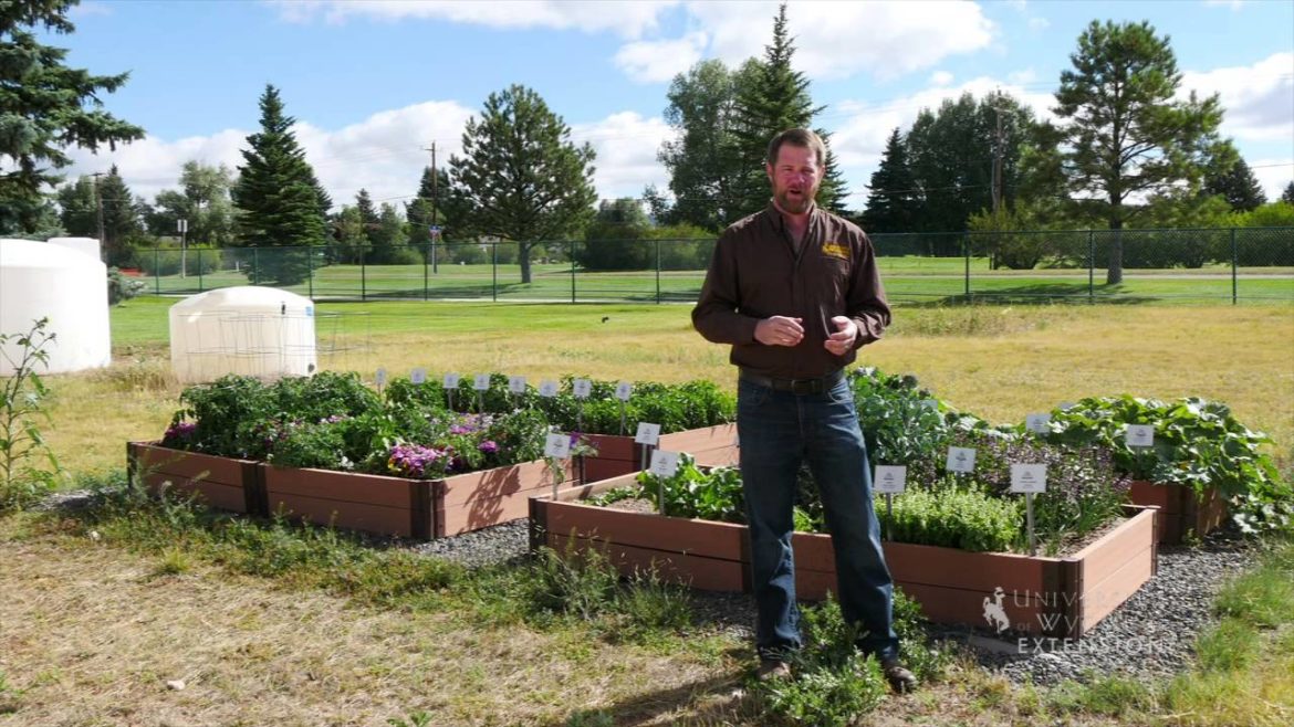 High Elevation Gardening Tips | From the Ground Up
