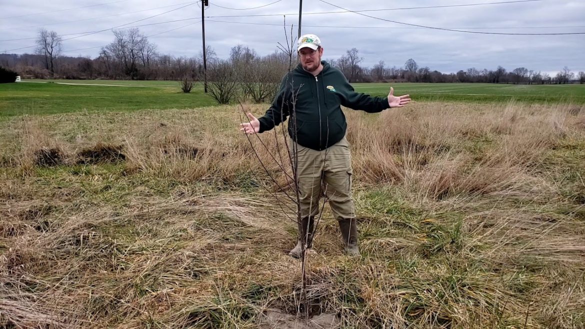 2021 Meadow Garden Plans