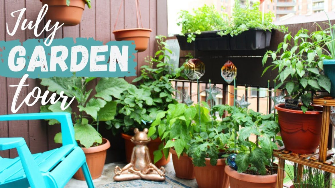 Summer Container Garden Tour | Urban Balcony Garden