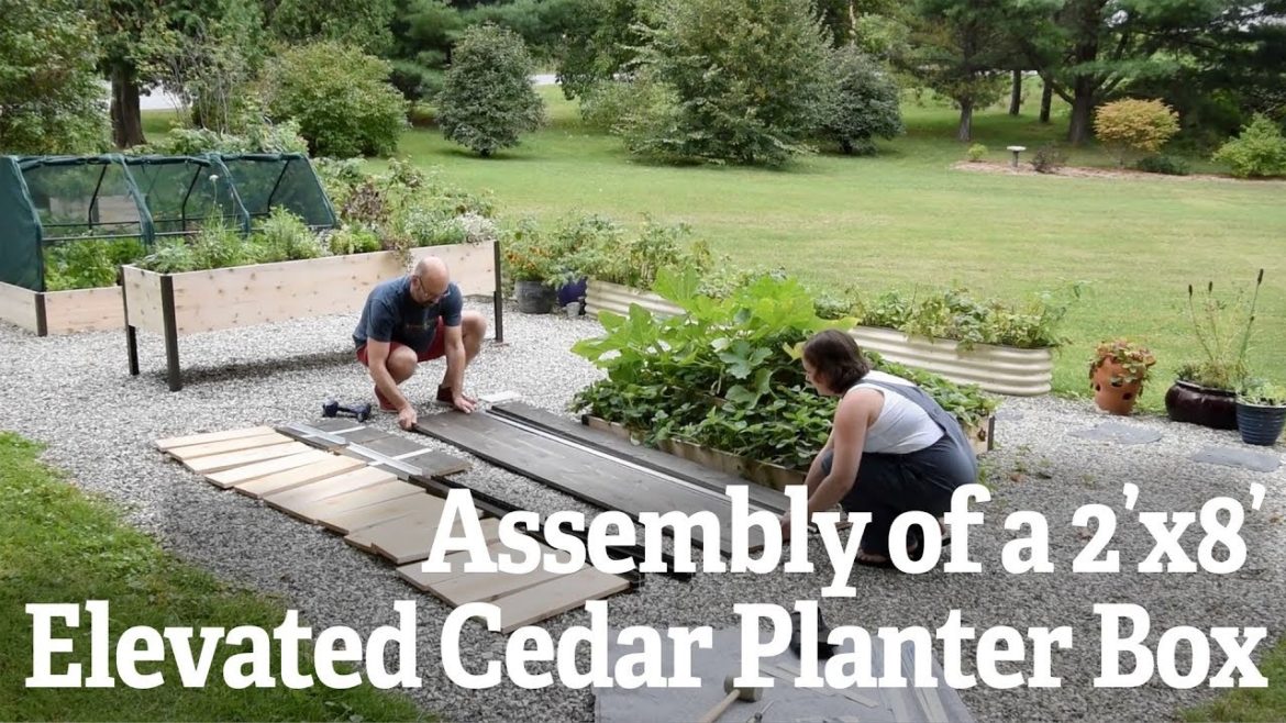 Assembly of a 2 x 8 Elevated Cedar Planter Box