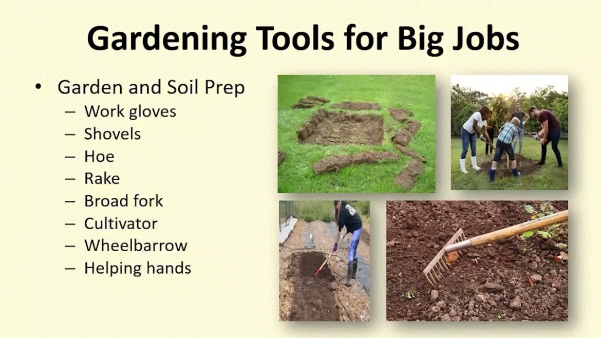 Introduction to Vegetable Gardening with OSU Master Gardeners