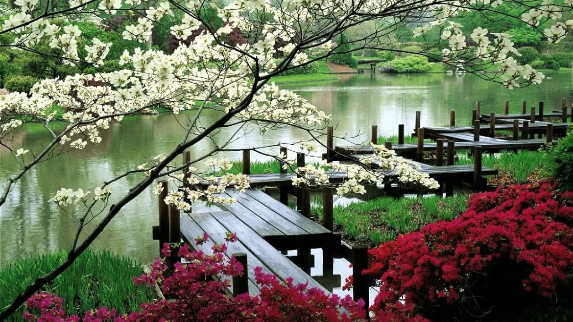 3 HOURS “Zen Garden” | Relaxing Music | Sleep Music for Spa, Meditation, Therapy 3 HOURS "Zen Garden" | Relaxing Music | Sleep Music for Spa, Meditation, Therapy