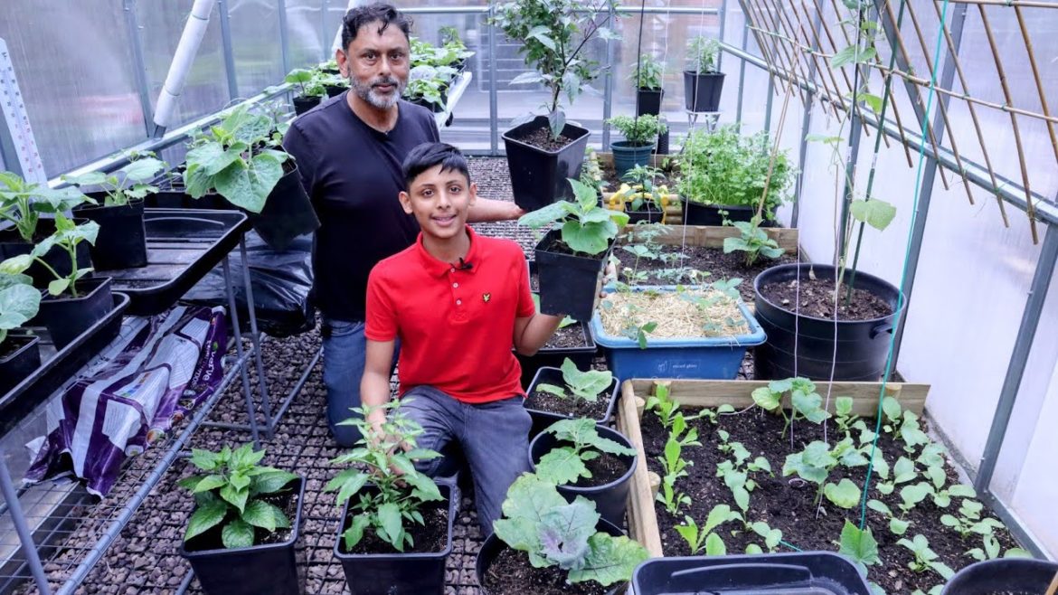 Garden Tips and Ideas - Starting Deshi Vegetables In UK 2022