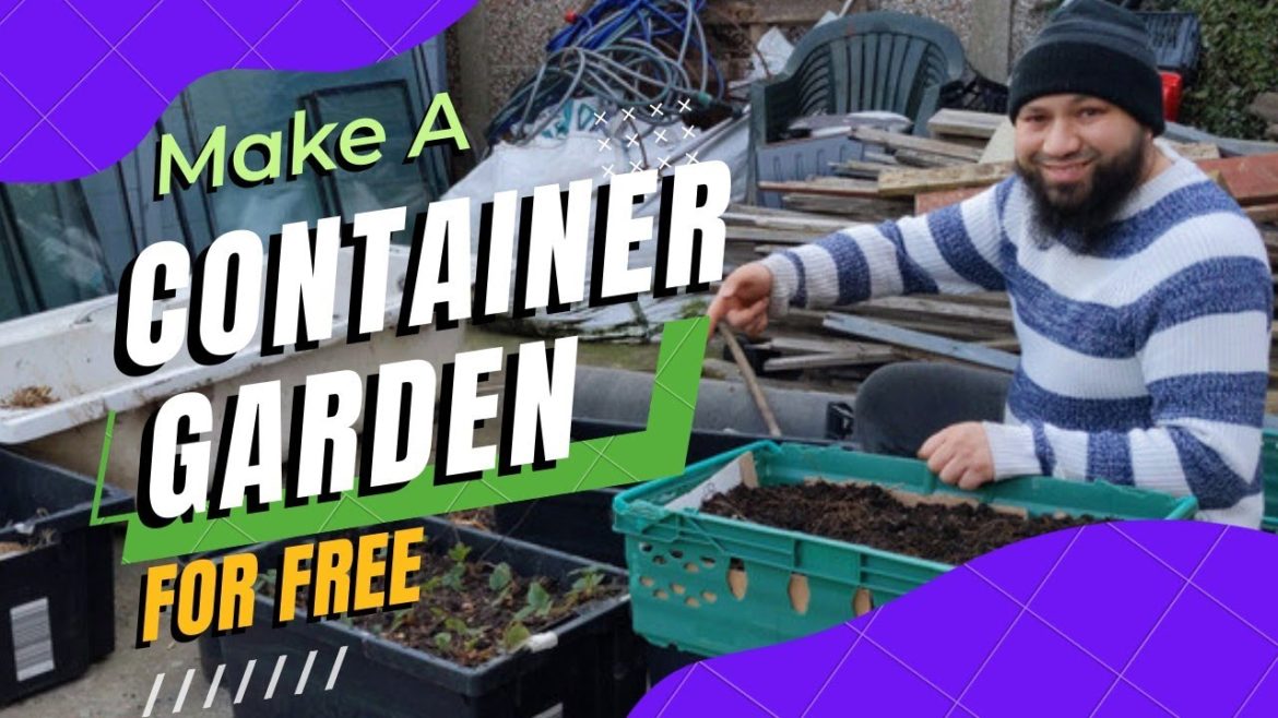 Starting A Container Garden For Free In On A Tiny Patch Of Concrete