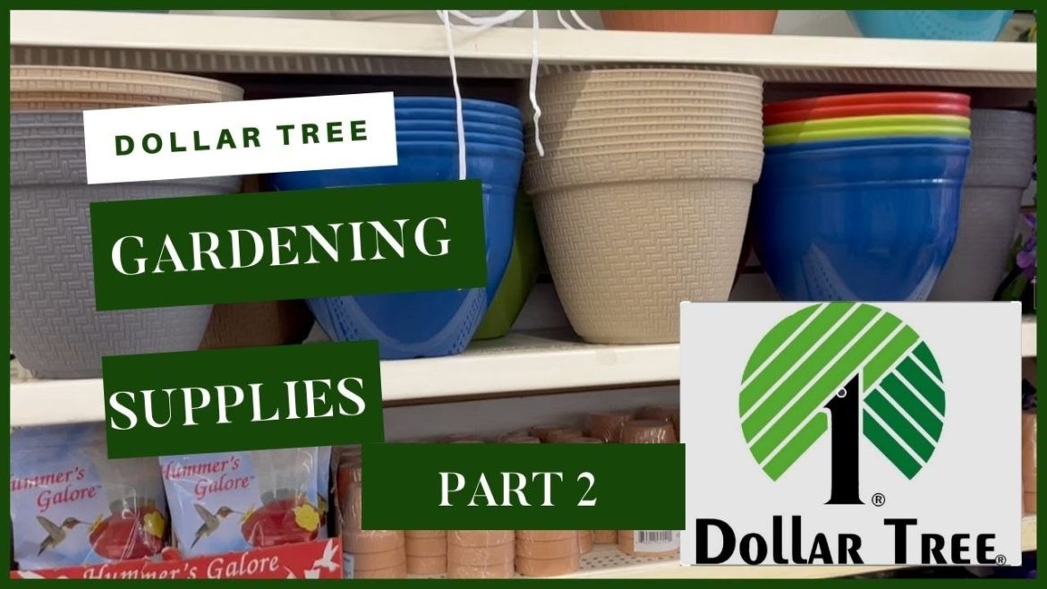 New At Dollar Tree|Dollar Tree Walkthrough|Dollar Tree Gardening Supplies