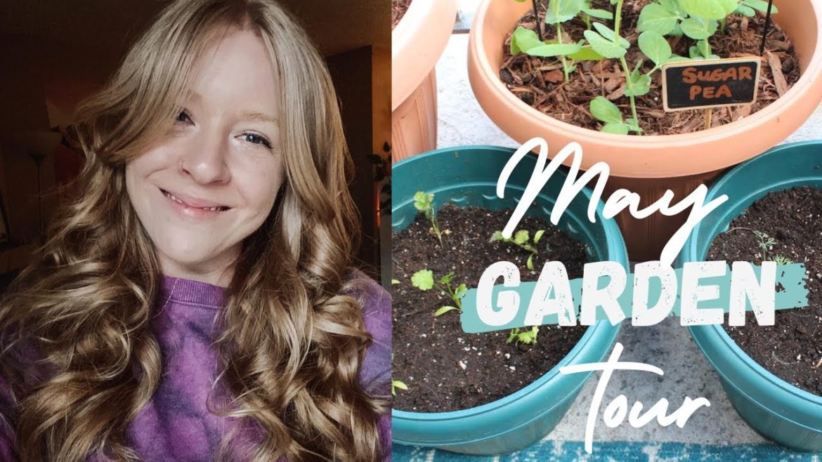 May Container Garden Tour | Urban Balcony Garden May Container Garden Tour | Urban Balcony Garden