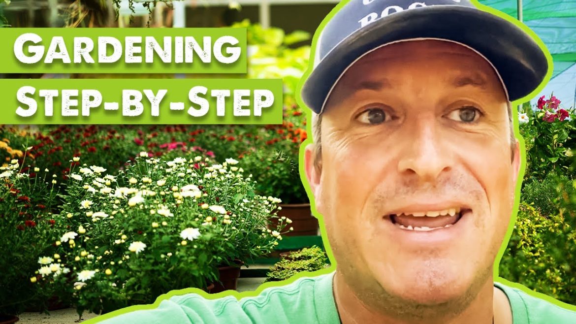 How to start growing your own FOOD | Gardening Made Easy |