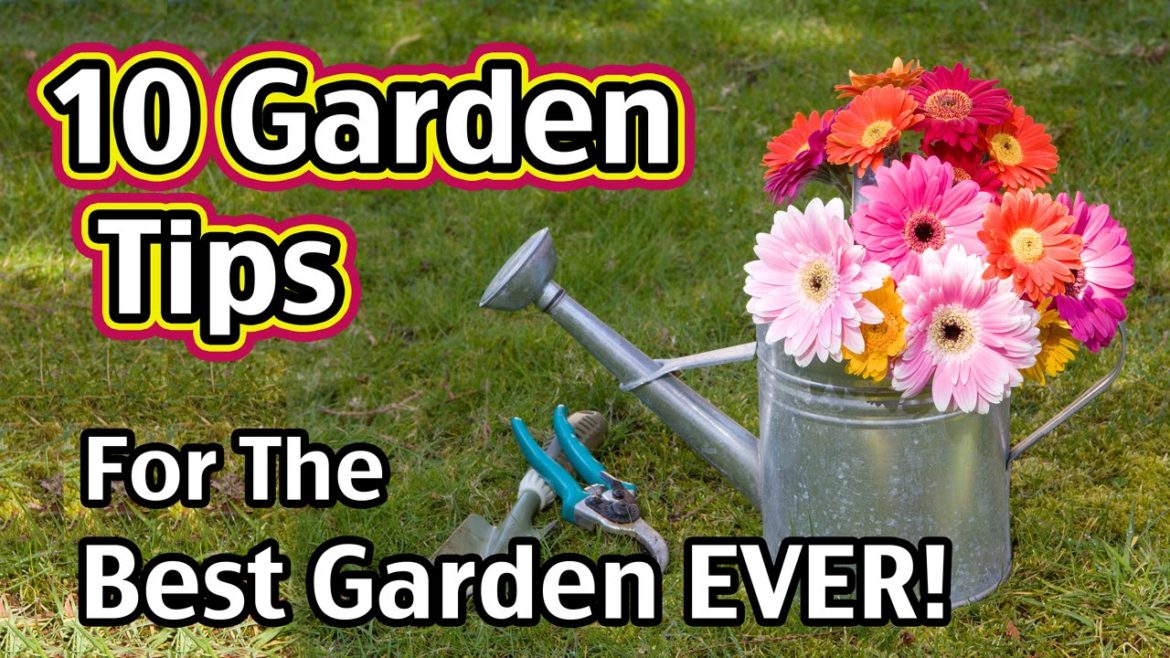 10 Garden Tips For The Best Garden EVER! 10 Garden Tips For The Best Garden EVER!
