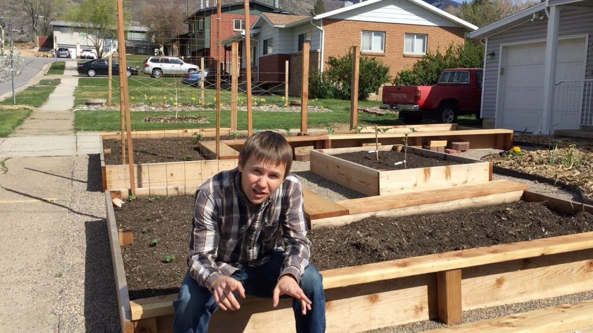 Foodscaping our frontyard: replacing grass with raised garden beds, fruit trees and wood chips