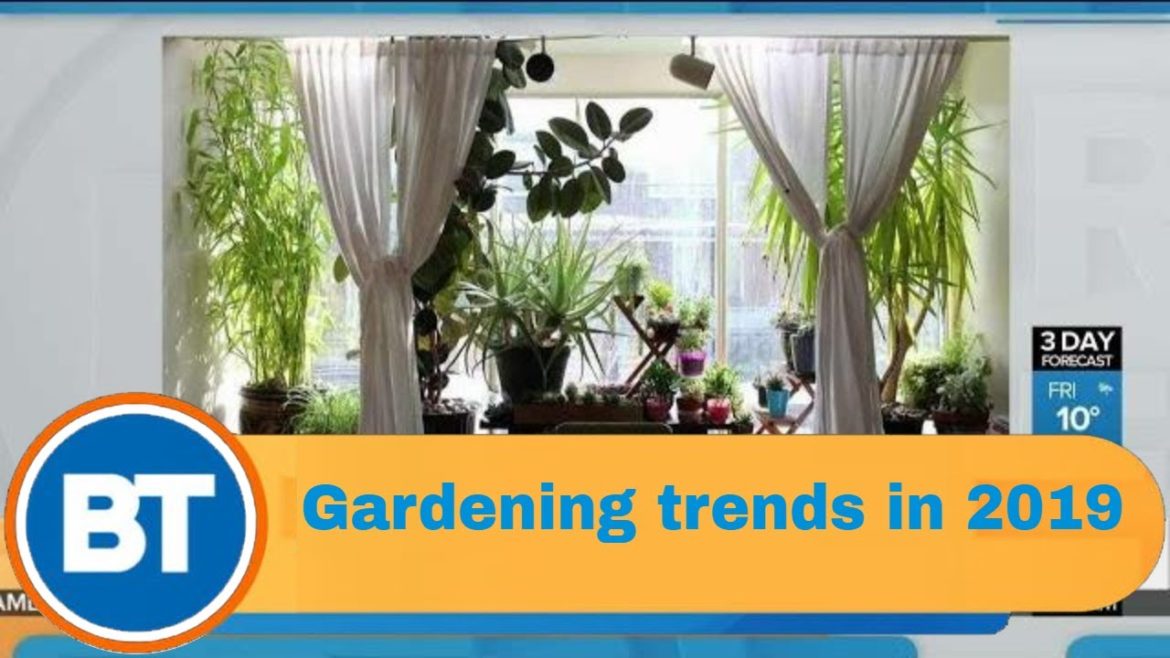 Gardening trends of 2018