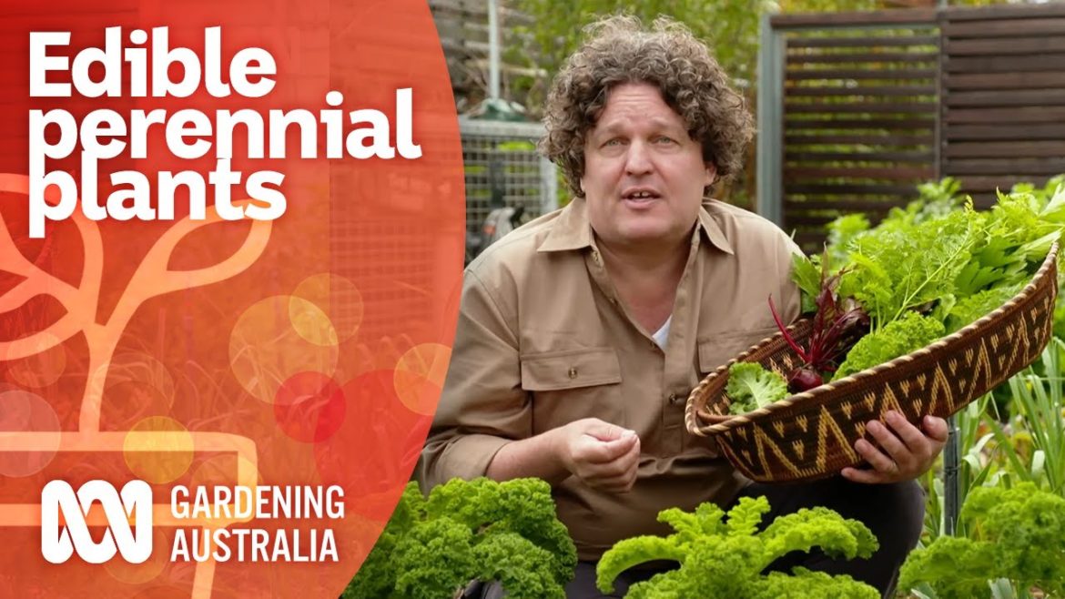 How to select and grow edible perennial plants | Growing Fruit and Vegies | Gardening Australia