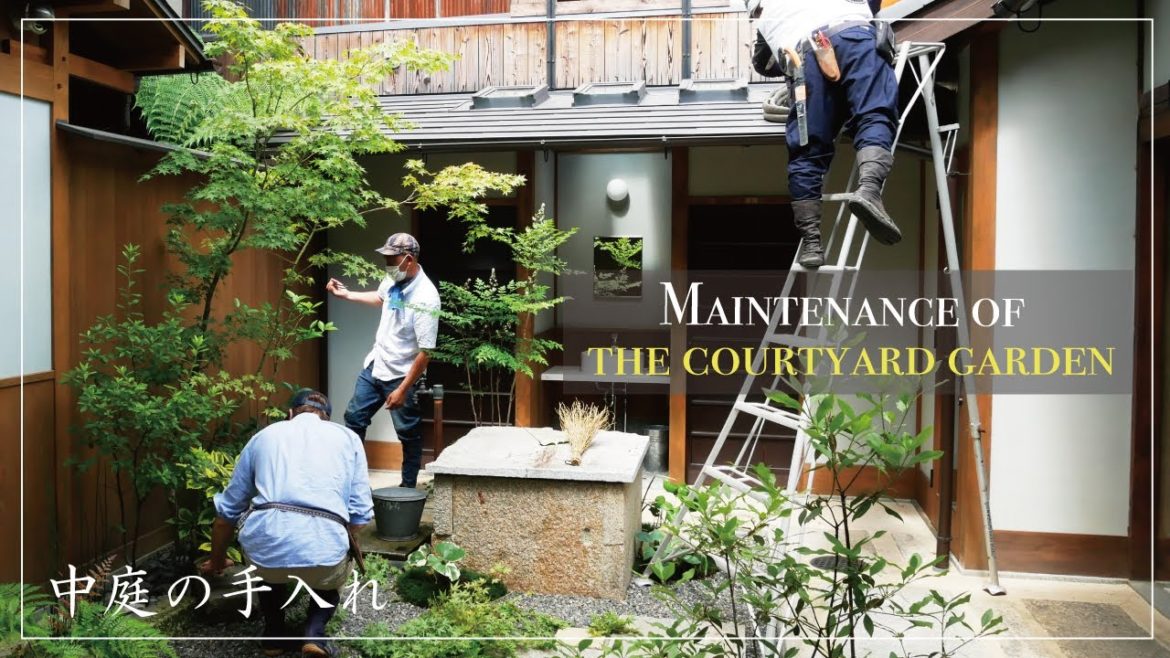 【Project.18】京都の中庭の手入れ風景。Maintenance of the courtyard garden 【Project.18】京都の中庭の手入れ風景。Maintenance of the courtyard garden