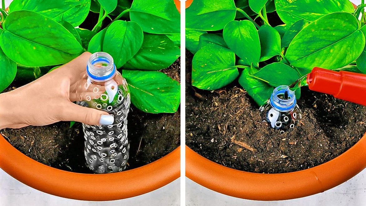 Incredible Gardening Tips To Grow Anything Anywhere Incredible Gardening Tips To Grow Anything Anywhere