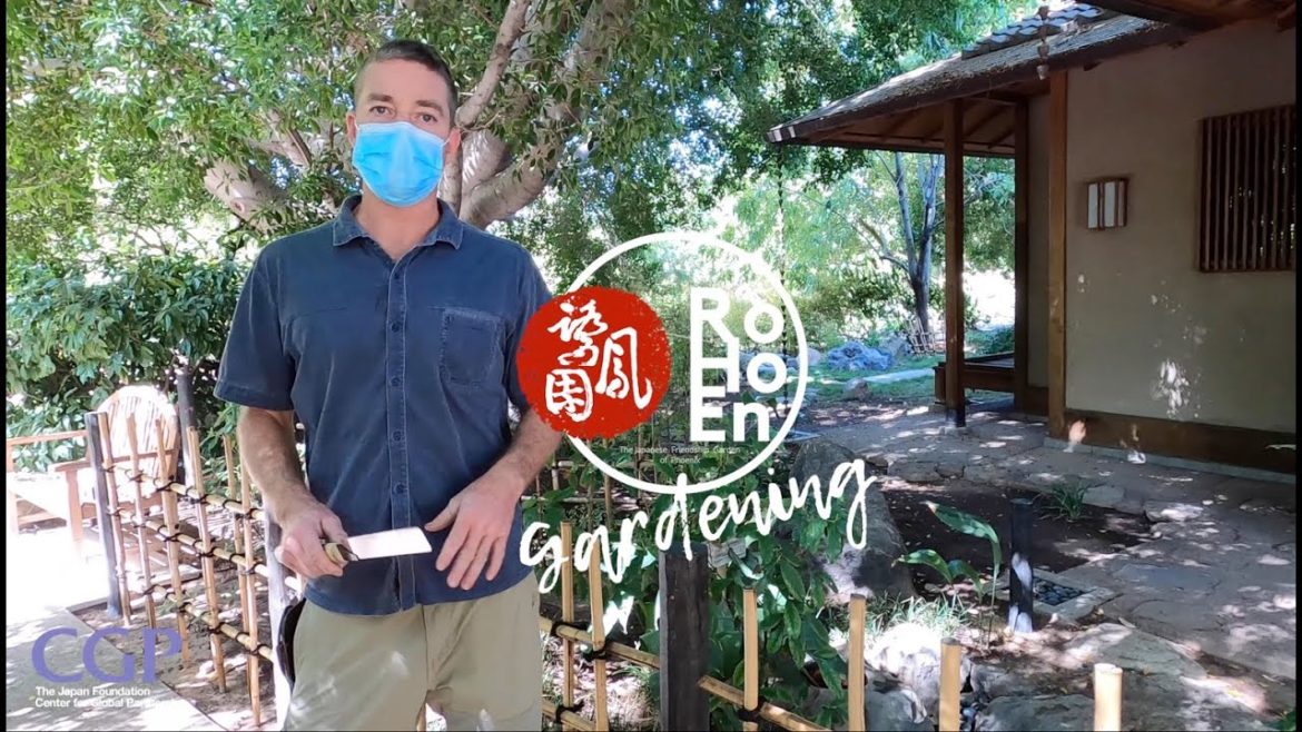 Japanese Gardening Techniques – Bamboo Fence Building Tutorial (Yotsume Gaki 四目垣) Japanese Gardening Techniques - Bamboo Fence Building Tutorial (Yotsume Gaki 四目垣)
