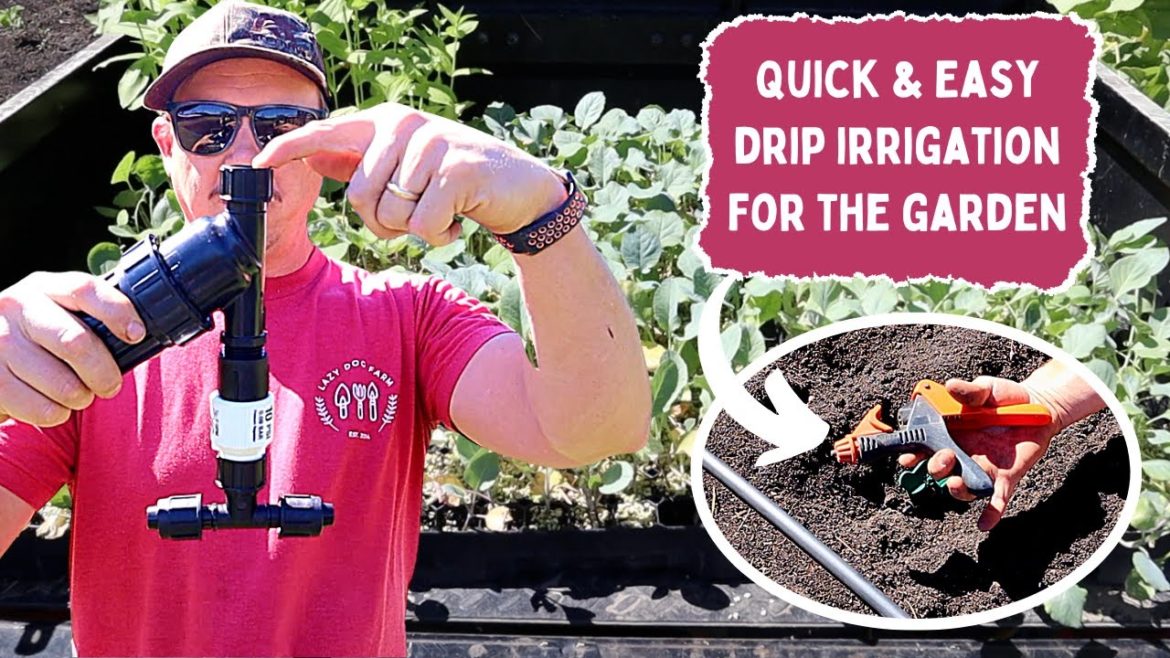 DIY Drip Irrigation System for the Backyard Garden | Quick & Easy to Install!