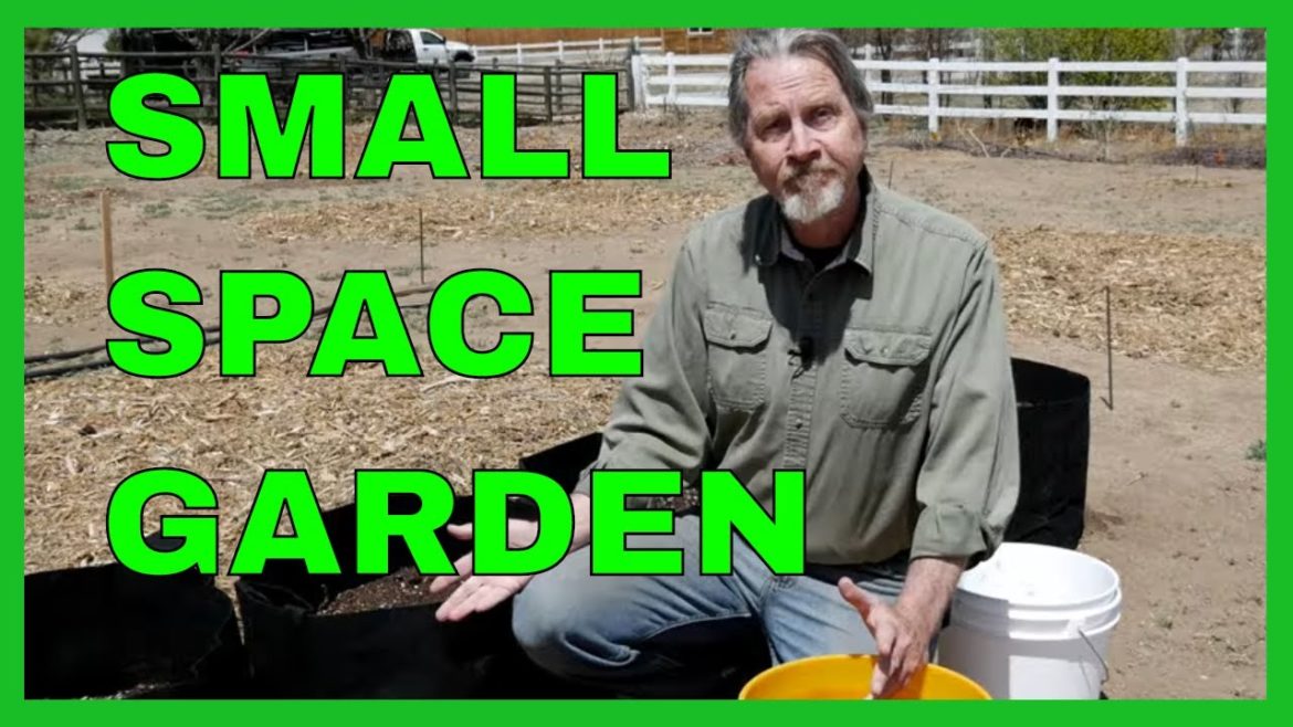 Getting Started with Container Gardening