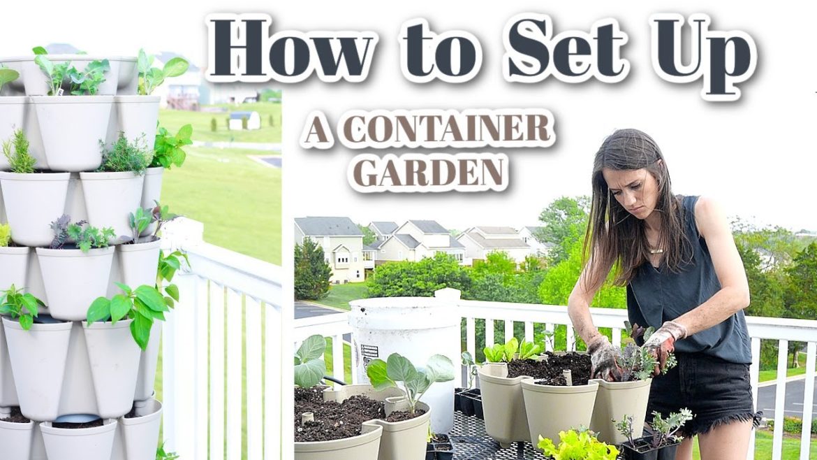 HOW TO SET UP A CONTAINER GARDEN // Soil Mix, What to Plant + Container Garden Tips for Success HOW TO SET UP A CONTAINER GARDEN // Soil Mix, What to Plant + Container Garden Tips for Success
