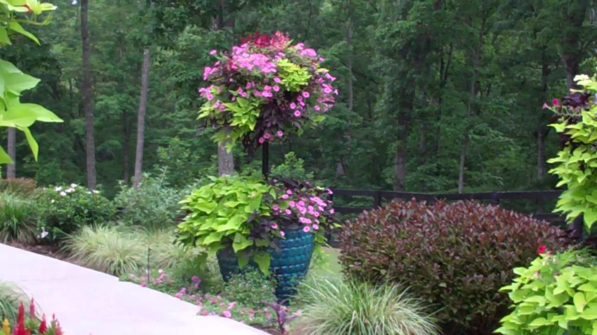 Spectacular Container Garden