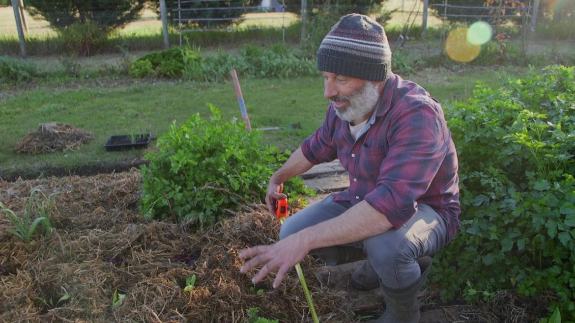 Vegetable Gardening in 1 Square Metre