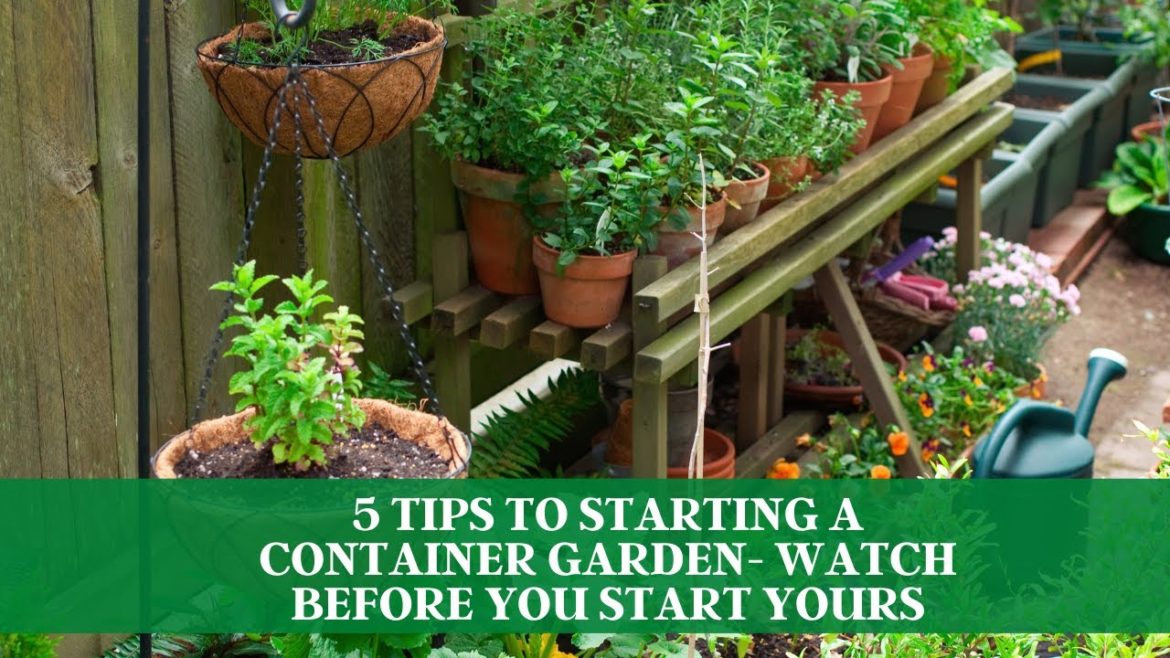 5 Tips To Starting A Container Garden- Watch Before You Start Yours