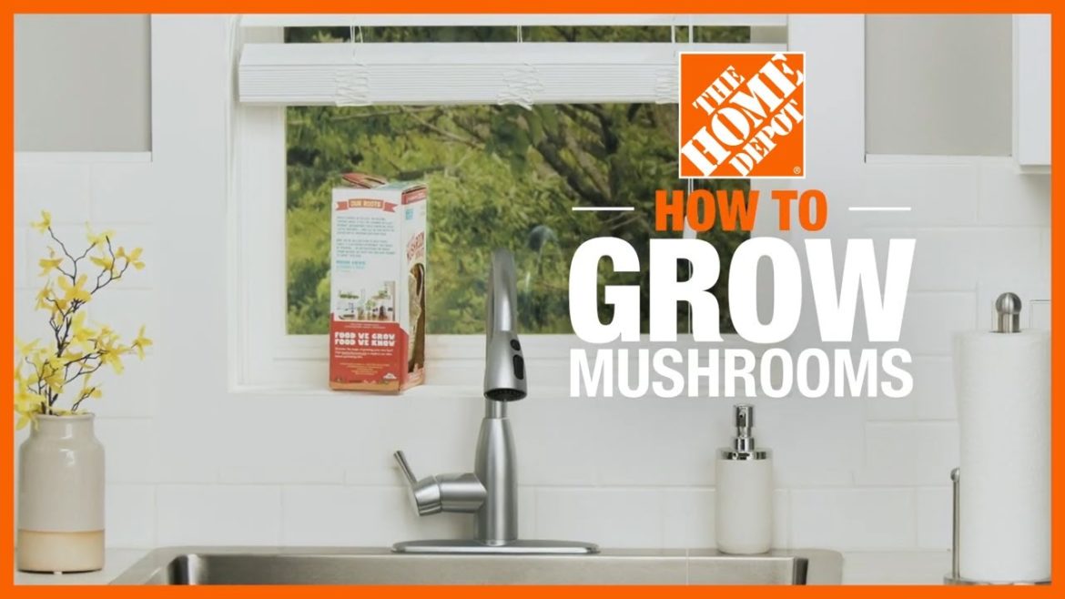 How to Grow Mushrooms | Edible Gardening | The Home Depot How to Grow Mushrooms | Edible Gardening | The Home Depot