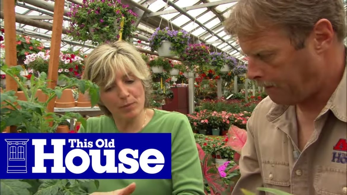 How to Create a Container Garden | This Old House How to Create a Container Garden | This Old House