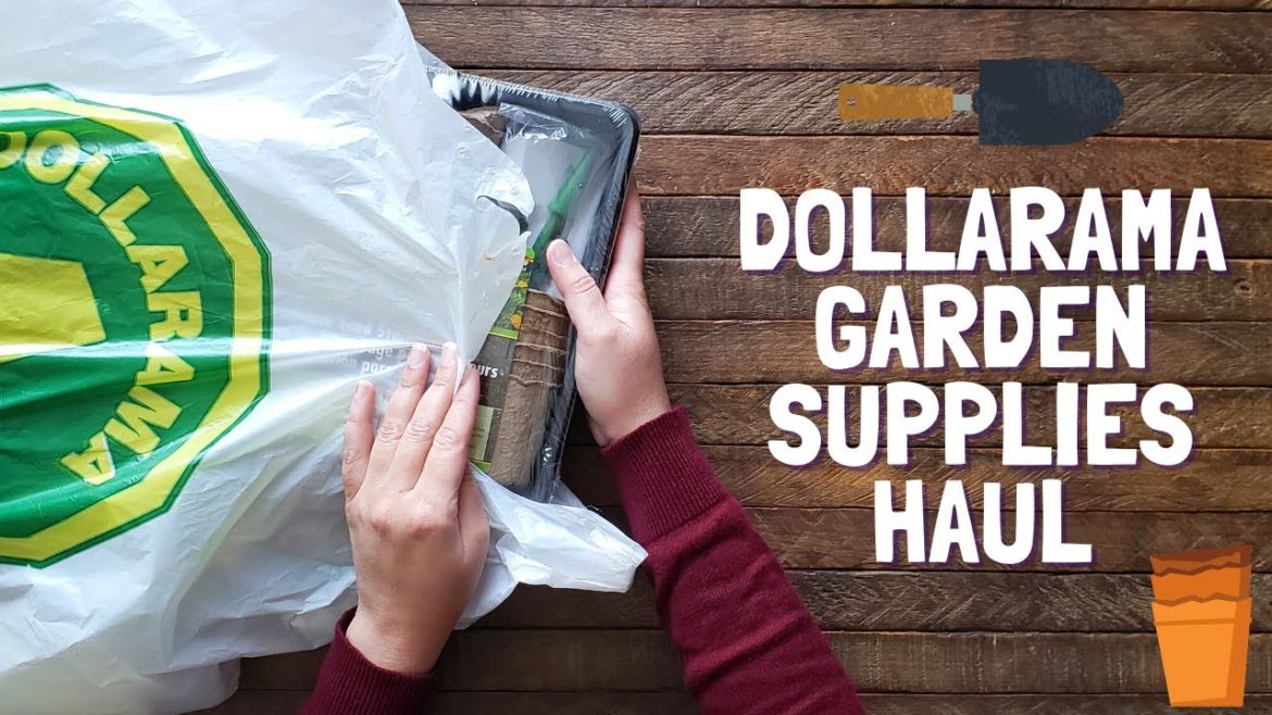 Dollarama Haul - Gardening Supplies - 2021