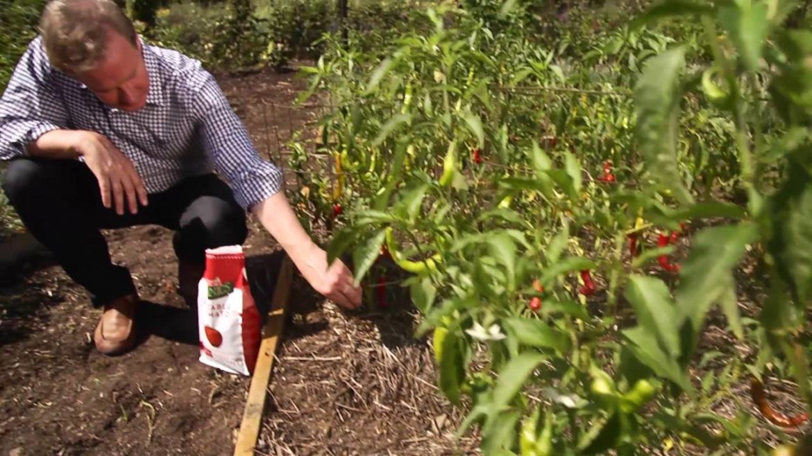 Edible Gardening Best Practices